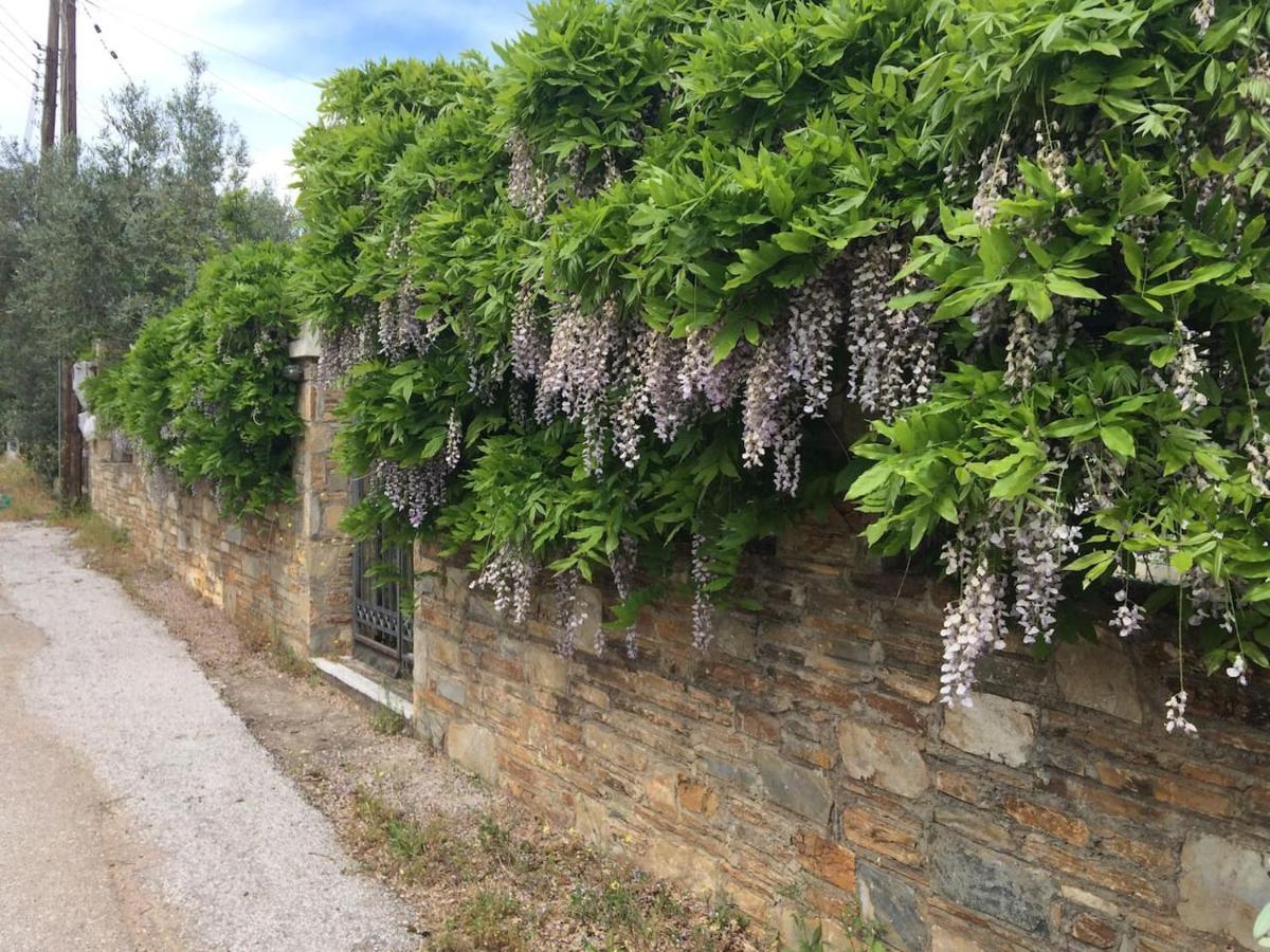 Villa Liana Sourpi Exteriér fotografie
